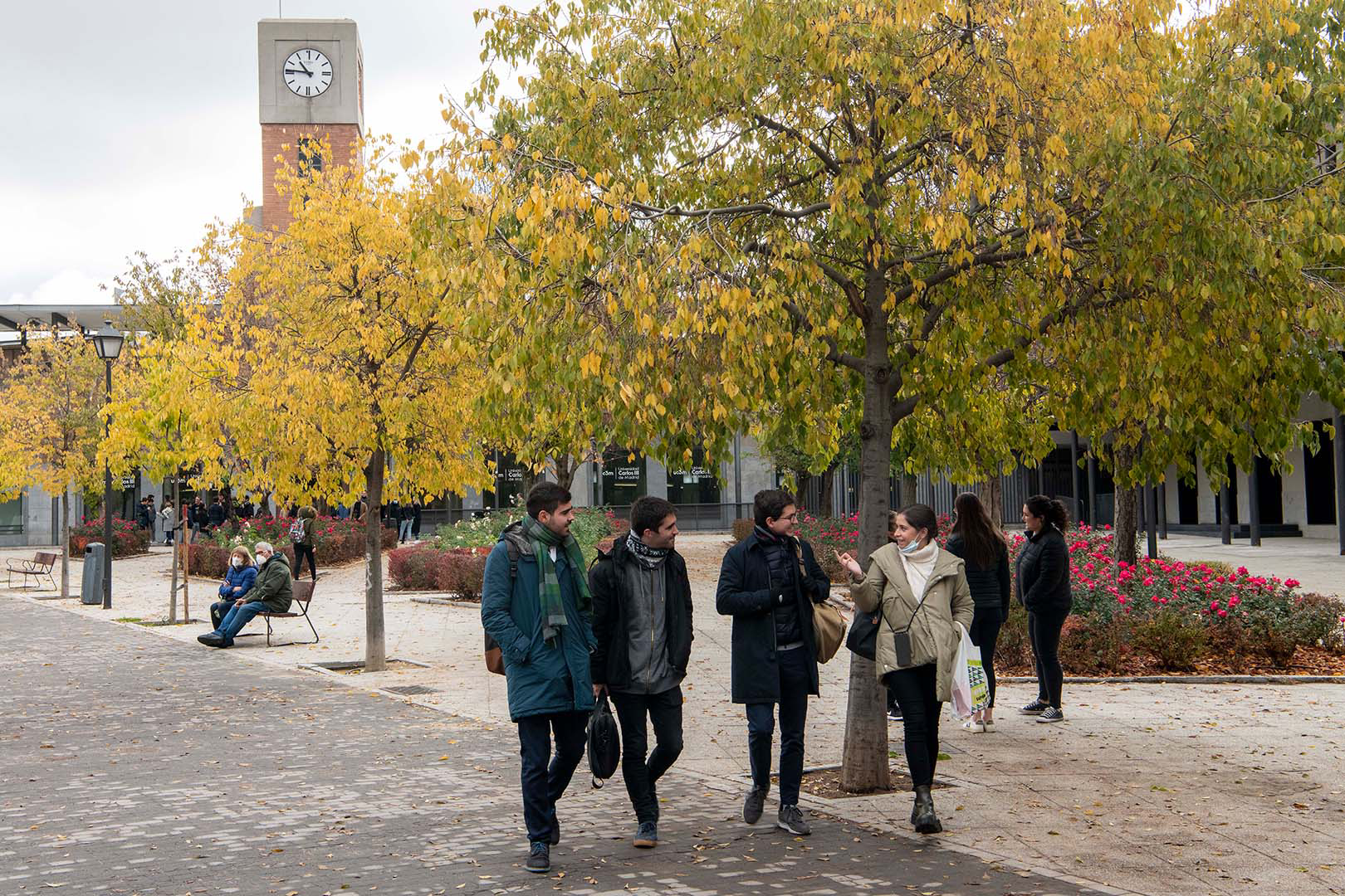 Cuatro jóvenes, tres chicos y una chica, caminan charlando animadamente por un paseo de árboles a la salida de la Universidad